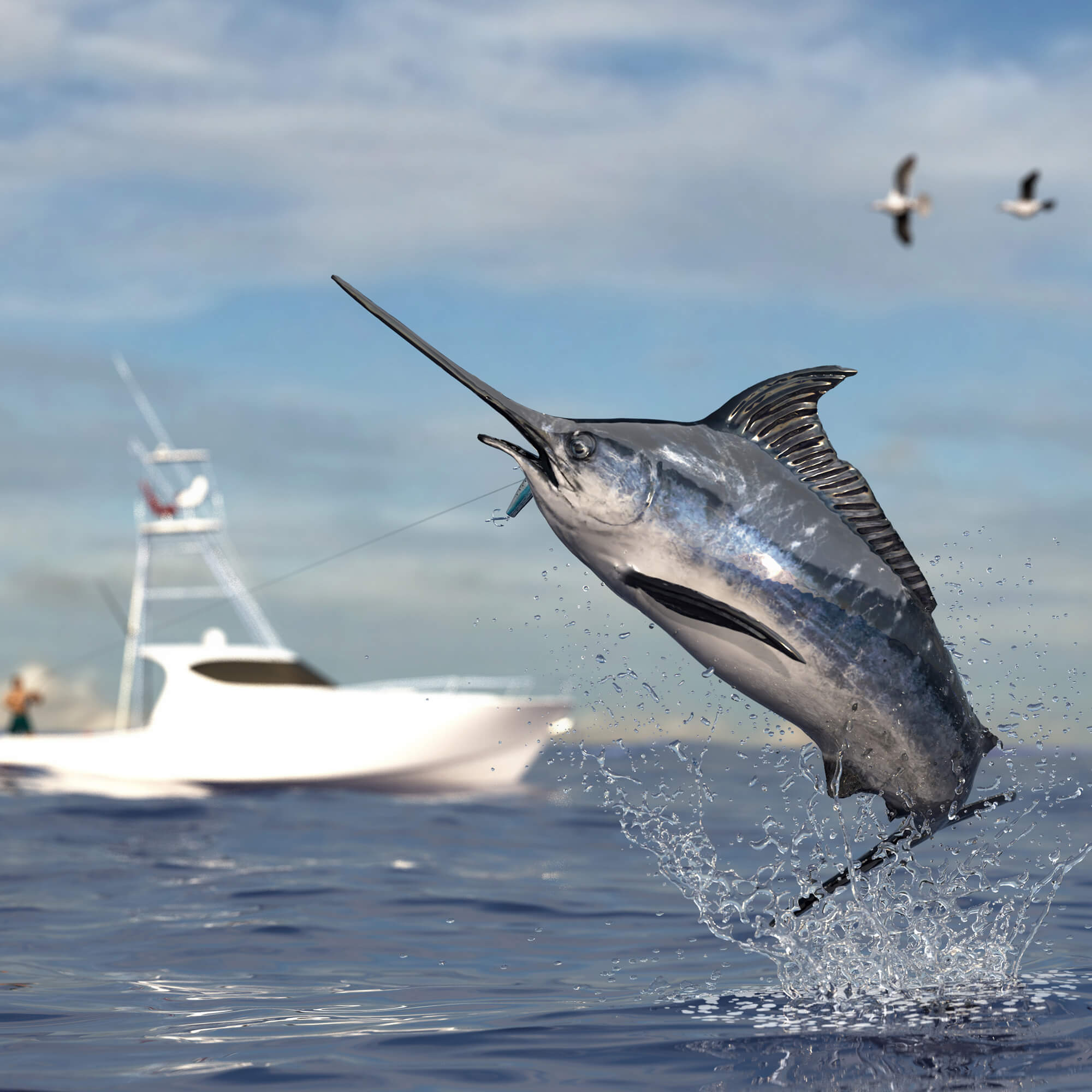 The Sailfish Capital